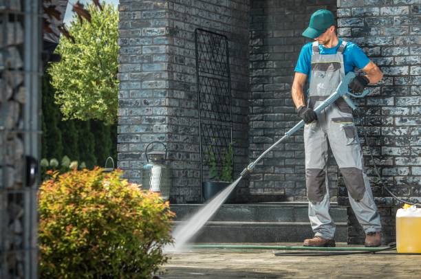 Best Graffiti Removal  in Willis, TX